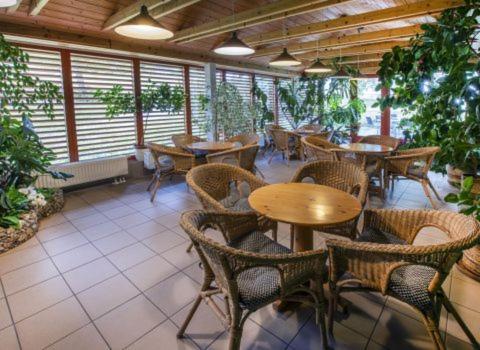 Renerovka 93 Otel Dolní Malá Úpa Dış mekan fotoğraf